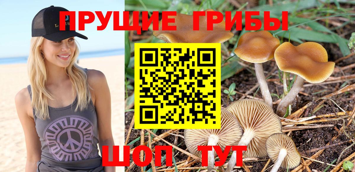 Галлюциногенные грибы мицелий  Вход с VPN  Нижнекамск 